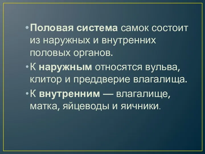 Половая система самок состоит из наружных и внутренних половых органов. К наружным