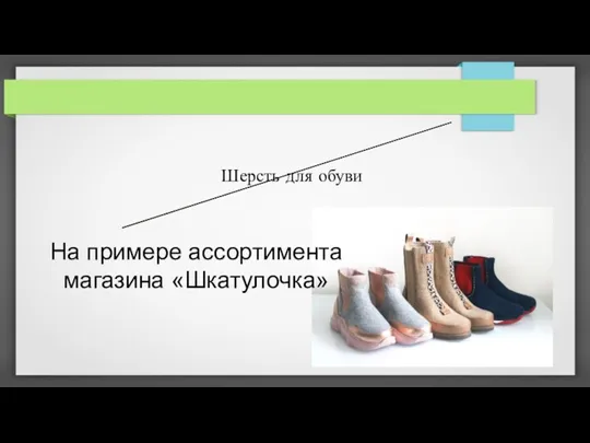 На примере ассортимента магазина «Шкатулочка» Шерсть для обуви