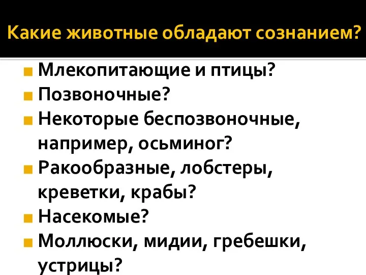 Какие животные обладают сознанием? Млекопитающие и птицы? Позвоночные? Некоторые беспозвоночные, например, осьминог?