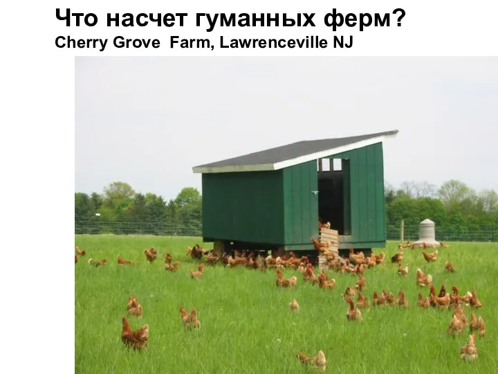 Что насчет гуманных ферм? Cherry Grove Farm, Lawrenceville NJ