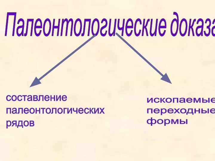 Палеонтологические доказательства составление палеонтологических рядов ископаемые переходные формы