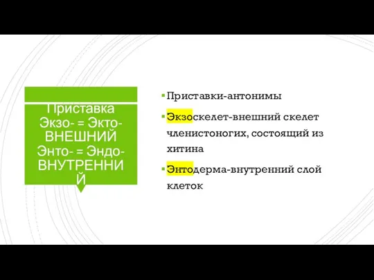 Приставка Экзо- = Экто- ВНЕШНИЙ Энто- = Эндо- ВНУТРЕННИЙ Приставки-антонимы Экзоскелет-внешний скелет