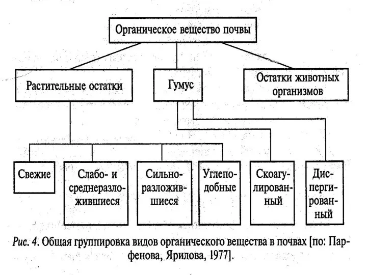 АООС. ЛК. № 10-11. Попова Л.Ф.