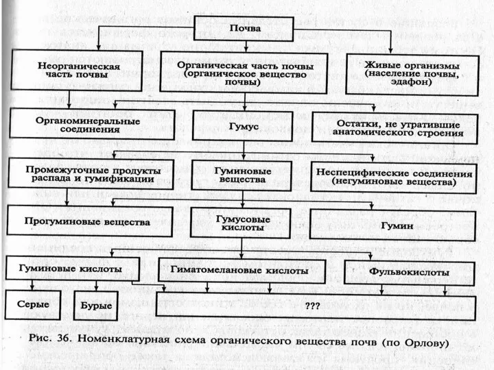 АООС. ЛК. № 10-11. Попова Л.Ф.