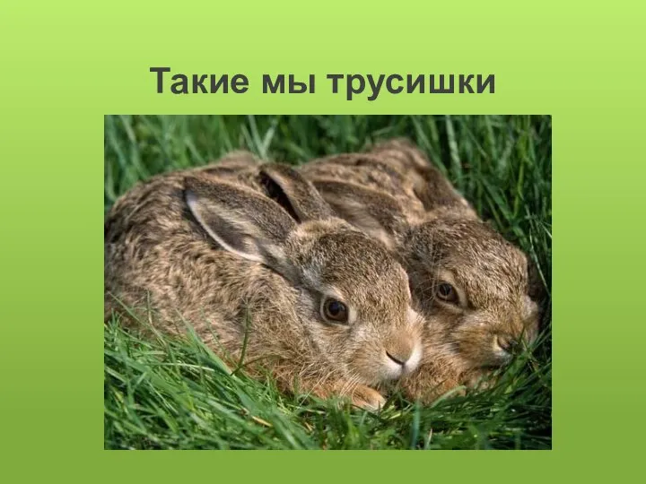 Такие мы трусишки