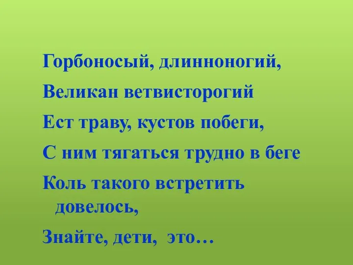 Горбоносый, длинноногий, Великан ветвисторогий Ест траву, кустов побеги, С ним тягаться трудно