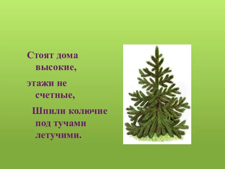 Стоят дома высокие, этажи не счетные, Шпили колючие под тучами летучими.