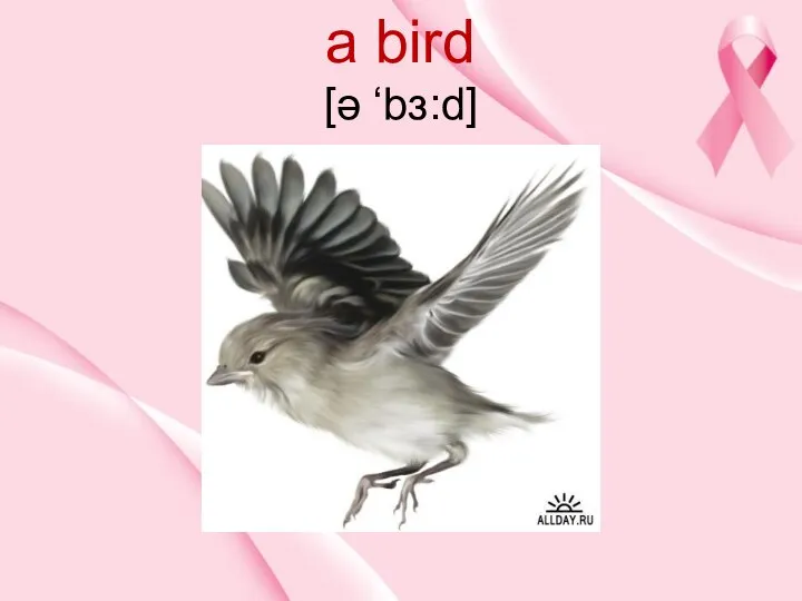 a bird [ə ‘bз:d]