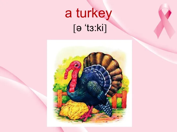 a turkey [ə ‘tз:ki]