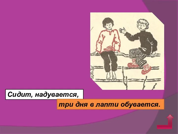 Сидит, надувается, три дня в лапти обувается.