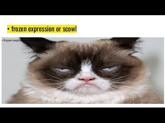 • frozen expression or scowl • frozen expression or scowl