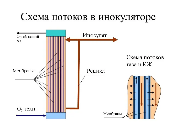 Схема потоков в инокуляторе