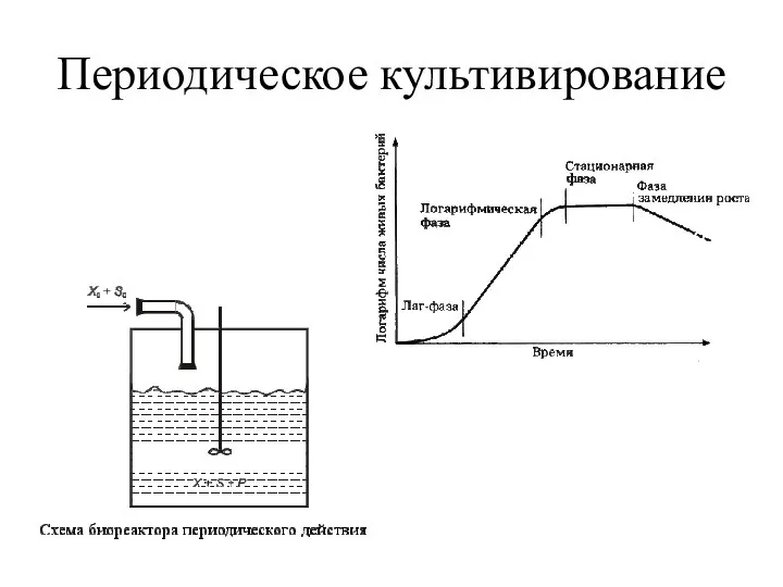 Периодическое культивирование