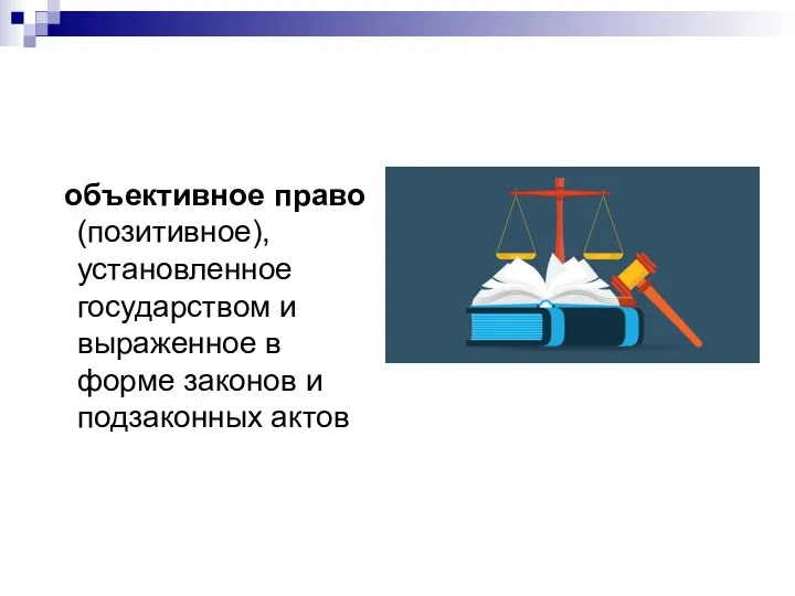 объективное право (позитивное), установленное государством и выраженное в форме законов и подзаконных актов