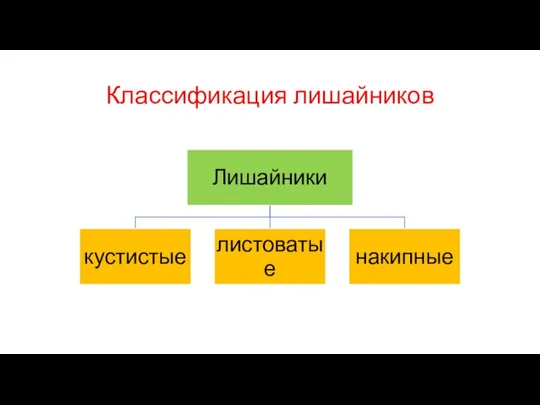 Классификация лишайников