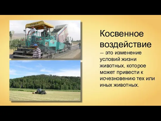 Косвенное воздействие — это изменение условий жизни животных, которое может привести к