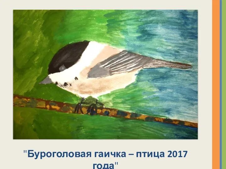 "Буроголовая гаичка – птица 2017 года"