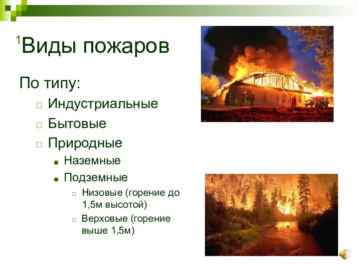 Виды пожаров По типу: Индустриальные Бытовые Природные Наземные Подземные Низовые (горение до