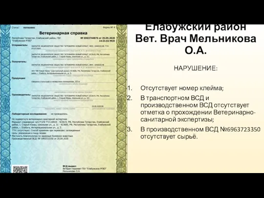 Елабужский район Вет. Врач Мельникова О.А. НАРУШЕНИЕ: Отсутствует номер клейма; В транспортном