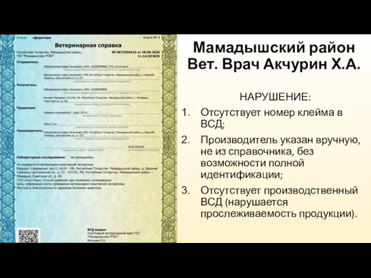 Мамадышский район Вет. Врач Акчурин Х.А. НАРУШЕНИЕ: Отсутствует номер клейма в ВСД;