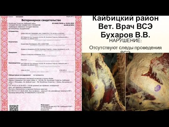 Кайбицкий район Вет. Врач ВСЭ Бухаров В.В. НАРУШЕНИЕ: Отсутствуют следы проведения ВСЭ