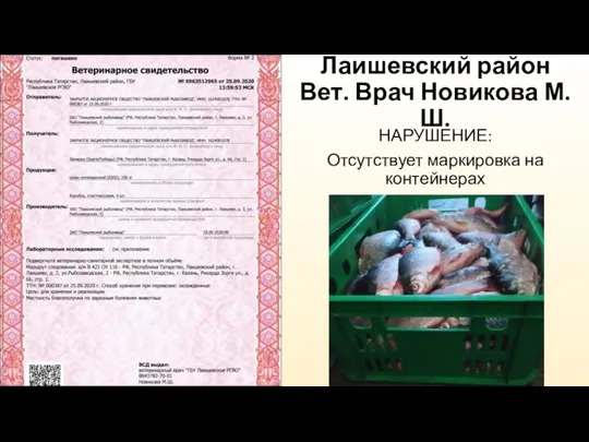 Лаишевский район Вет. Врач Новикова М.Ш. НАРУШЕНИЕ: Отсутствует маркировка на контейнерах