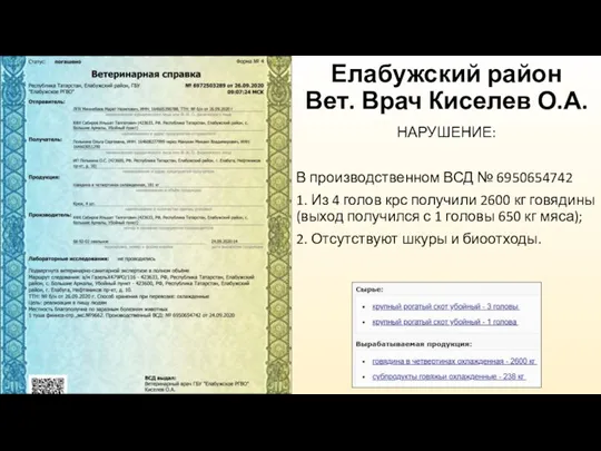 Елабужский район Вет. Врач Киселев О.А. НАРУШЕНИЕ: В производственном ВСД № 6950654742