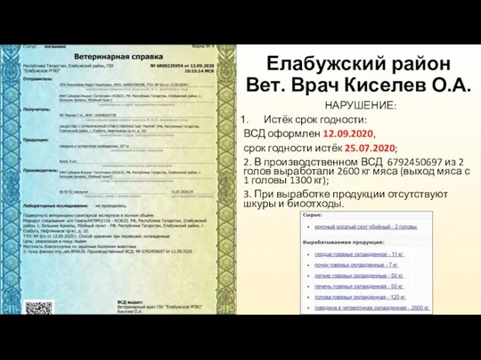 НАРУШЕНИЕ: Истёк срок годности: ВСД оформлен 12.09.2020, срок годности истёк 25.07.2020; 2.