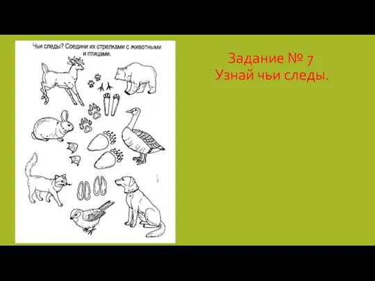 Задание № 7 Узнай чьи следы.