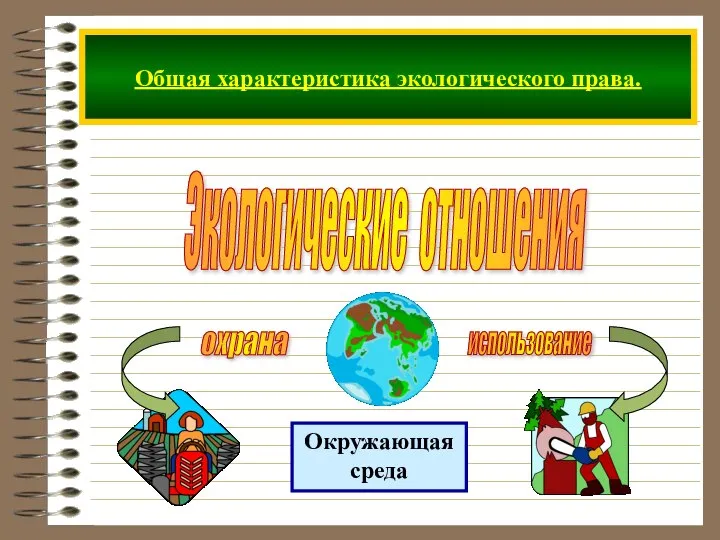 Экологические отношения Общая характеристика экологического права. Окружающая среда охрана использование