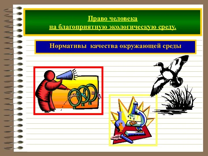 Право человека на благоприятную экологическую среду. Нормативы качества окружающей среды