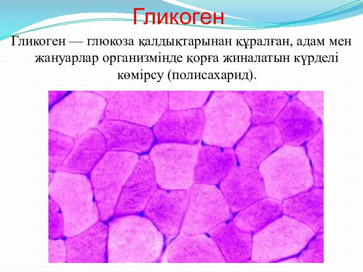 Гликоген Гликоген — глюкоза қалдықтарынан құралған, адам мен жануарлар организмінде қорға жиналатын күрделі көмірсу (полисахарид).