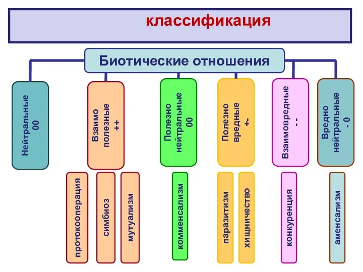 классификация Биотические отношения Нейтральные 00 Взаимо полезные ++ Полезно нейтральные 00 Полезно