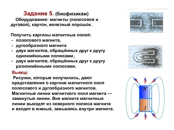 Задание 5. (биофизикам) Оборудование: магниты (полосовой и дуговой), картон, железный порошок. Получить