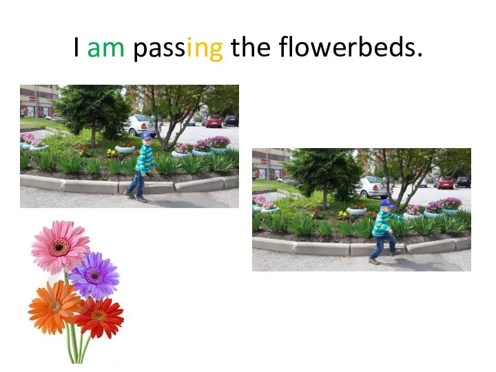 I am passing the flowerbeds.