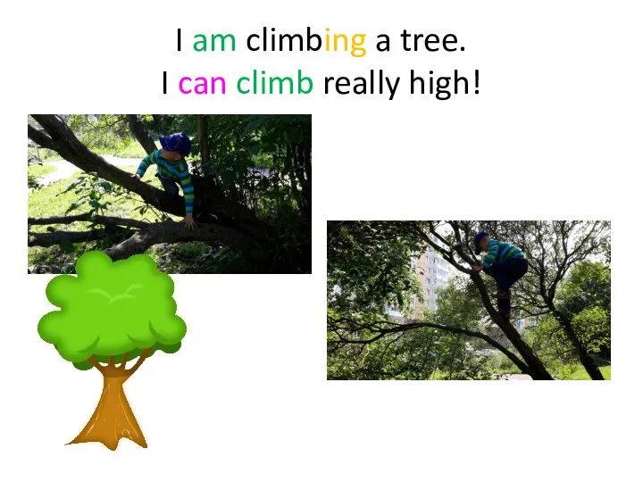 I am climbing a tree. I can climb really high!