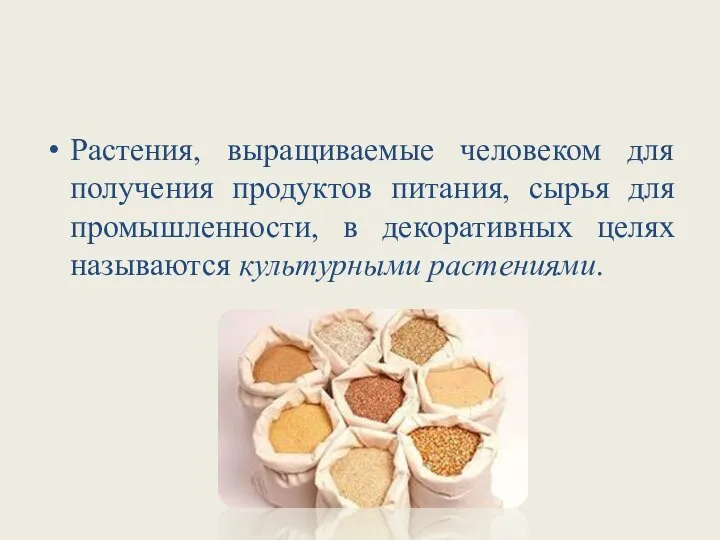 Растения, выращиваемые человеком для получения продуктов питания, сырья для промышленности, в декоративных целях называются культурными растениями.