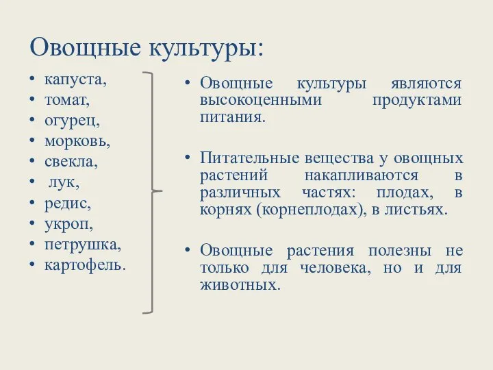 Овощные культуры: капуста, томат, огурец, морковь, свекла, лук, редис, укроп, петрушка, картофель.