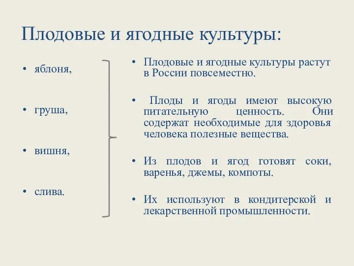 Плодовые и ягодные культуры: яблоня, груша, вишня, слива. Плодовые и ягодные культуры