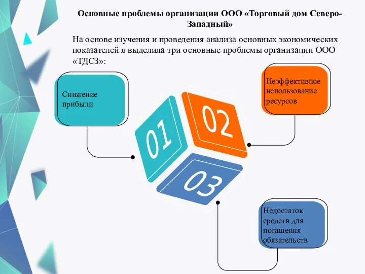 Основные проблемы организации ООО «Торговый дом Северо-Западный» На основе изучения и проведения