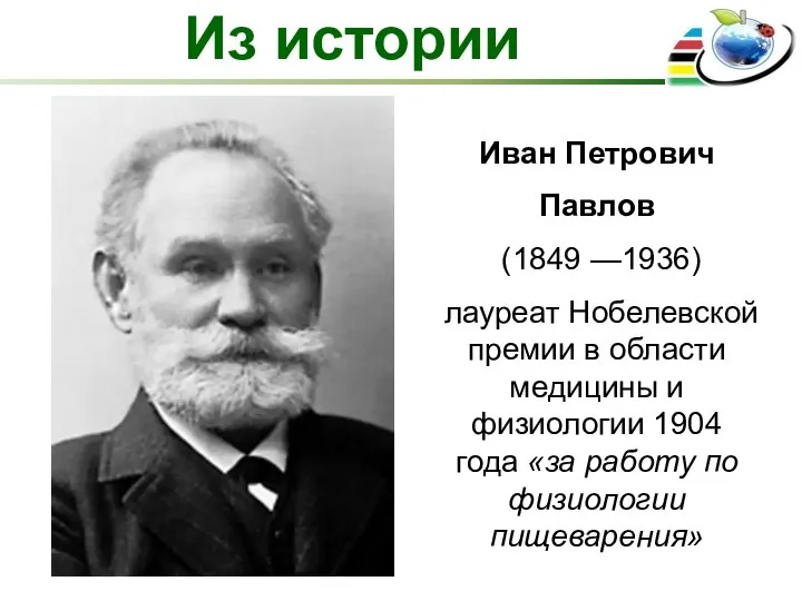 Из истории Иван Петрович Павлов (1849 —1936) лауреат Нобелевской премии в области