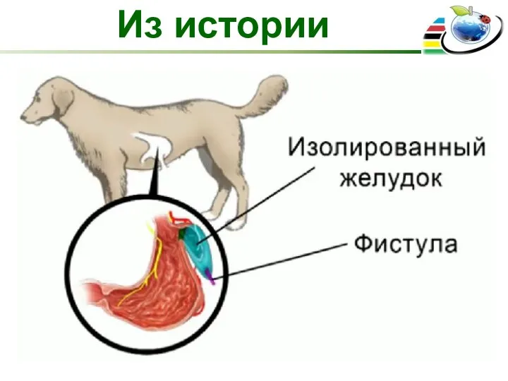 Из истории