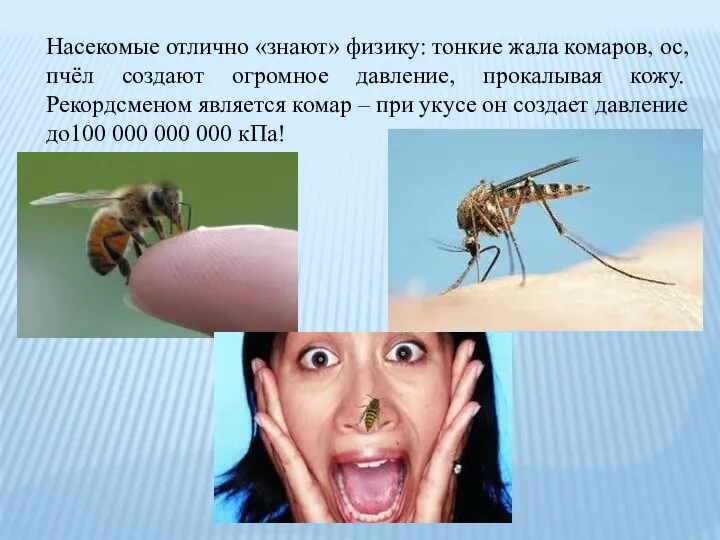 Насекомые отлично «знают» физику: тонкие жала комаров, ос, пчёл создают огромное давление,