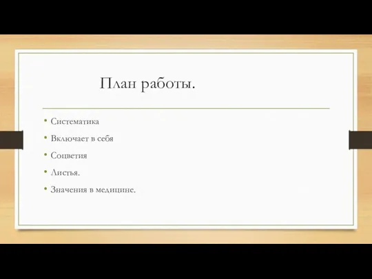 План работы. Систематика Включает в себя Соцветия Листья. Значения в медицине.