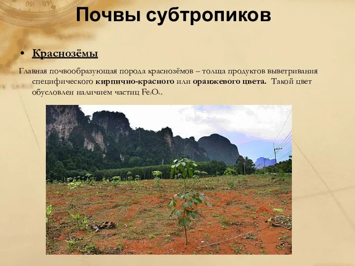 Почвы субтропиков Краснозёмы Главная почвообразующая порода краснозёмов – толща продуктов выветривания специфического