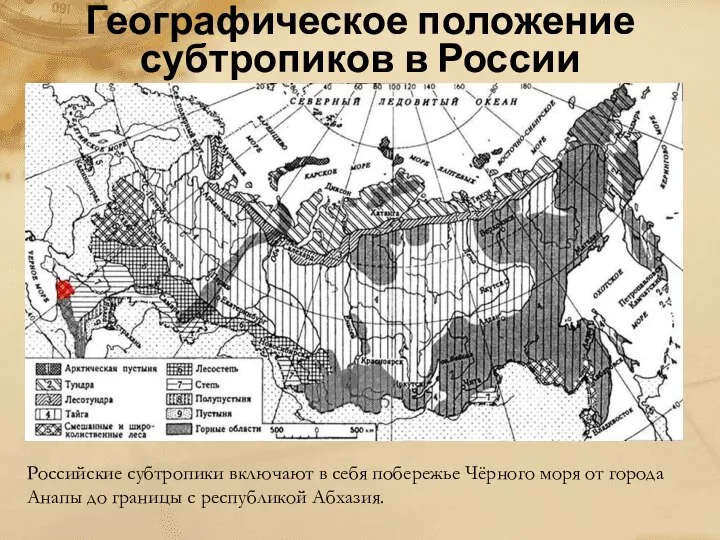 Географическое положение субтропиков в России Российские субтропики включают в себя побережье Чёрного