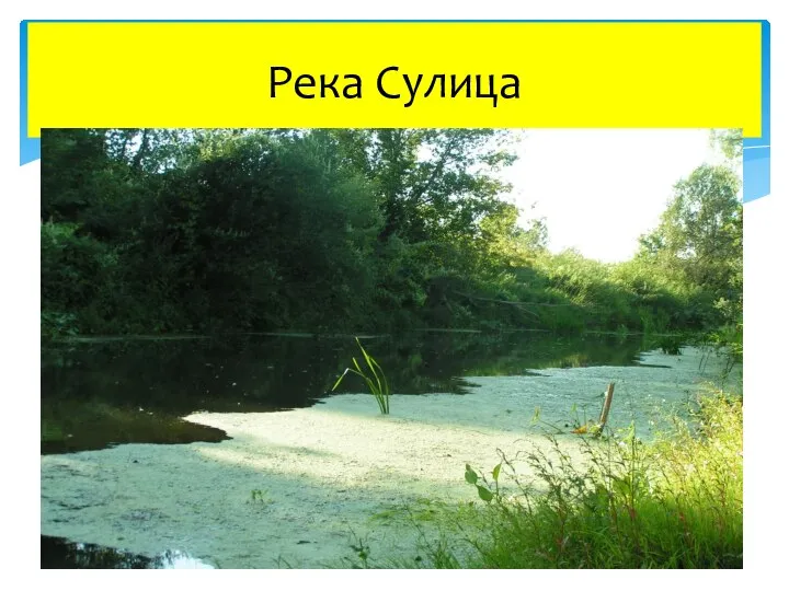 Река Сулица