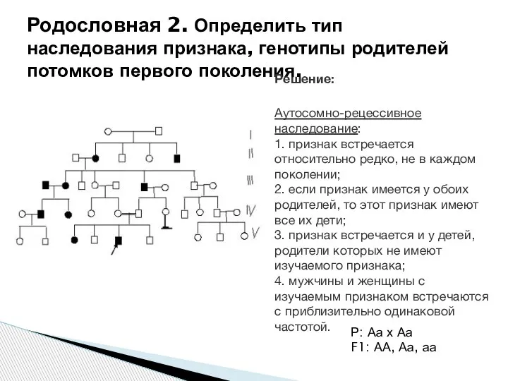 Родословная 2. Определить тип наследования признака, генотипы родителей потомков первого поколения.