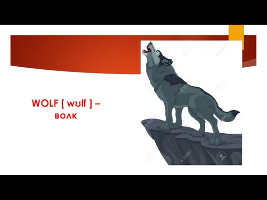 WOLF [ wʊlf ] – волк