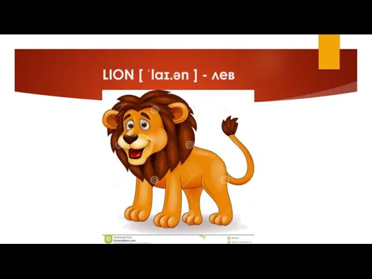 LION [ ˈlaɪ.ən ] - лев